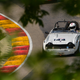 Illustration for article titled The HAWK with Brian Redman | Glorious Vintage Racing in Hi-Res